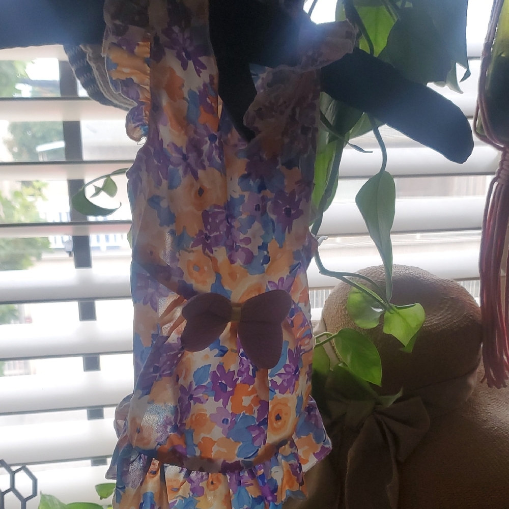 Floral Dog/Cat Dress with Ruffle Details